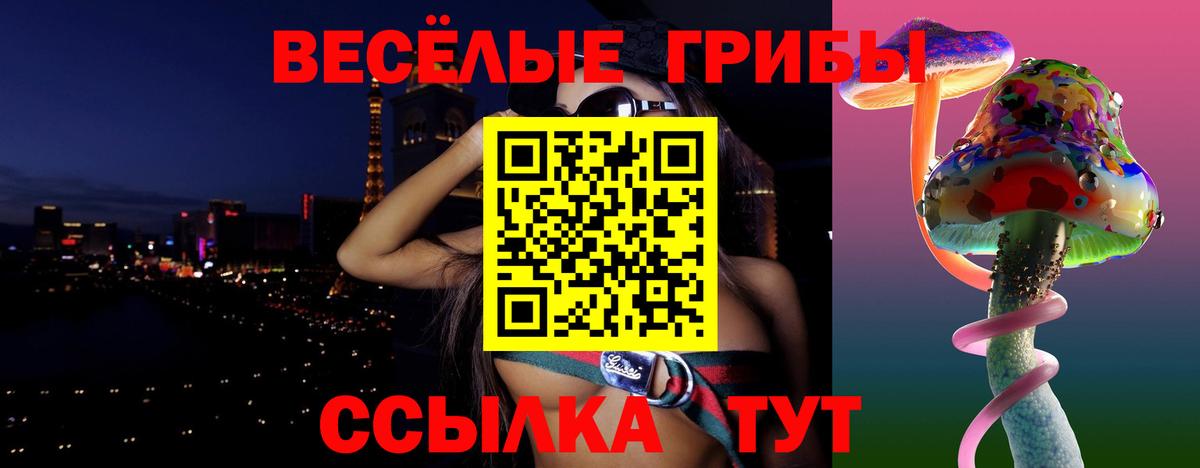 Славянск-на-Кубани  Галлюциногенные грибы ЛСД  Вход с VPN  Галлюциногенные грибы мухоморы 